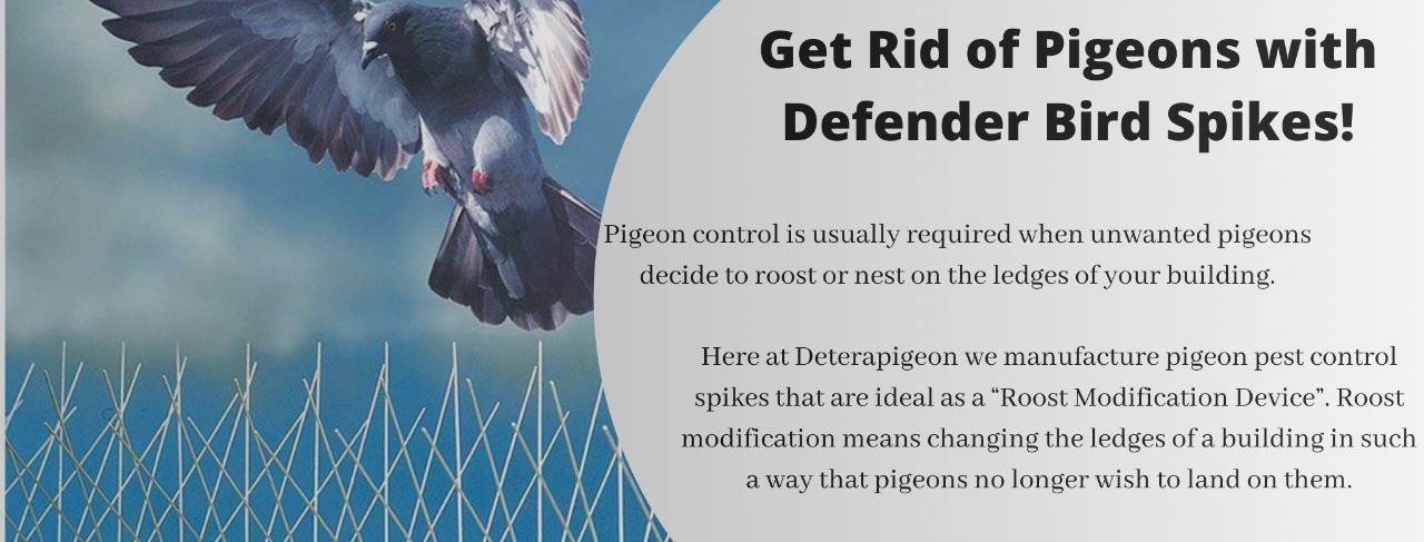 Cricket practice Nets